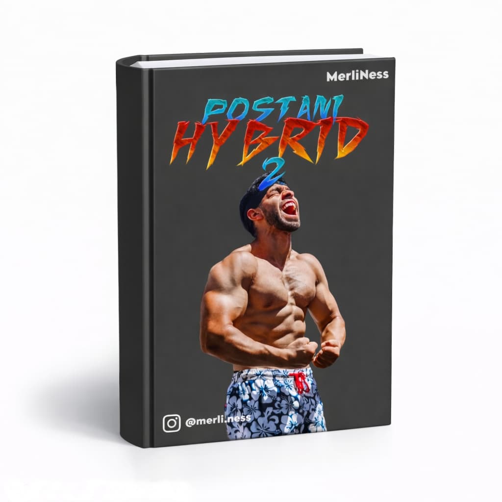 POSTANI HYBRID 2